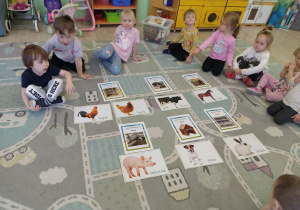 zwierzęta wiejskie i ich domy