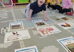 zwierzęta wiejskie i ich domy