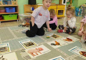 chłopiec dopasowuje zwierze wiejskie z ich domem