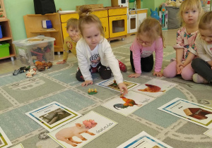 dziewczynka dopasowuje zwierze wiejskie z ich domem