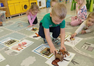 chłopiec dopasowuje zwierze wiejskie z ich domem