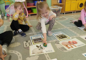 dziewczynka dopasowuje zwierze wiejskie z ich domem