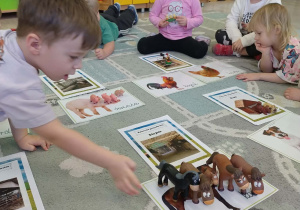 chłopiec dopasowuje zwierzęta wiejskie z ich domem