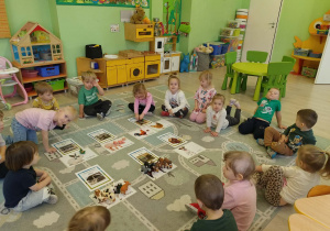 zwierzęta wiejskie i ich domy