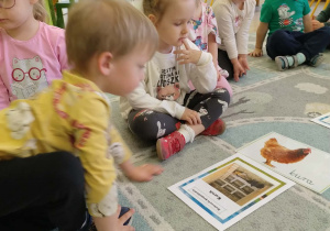 zwierzęta wiejskie i ich domy