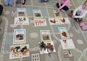 zwierzęta wiejskie i ich domy