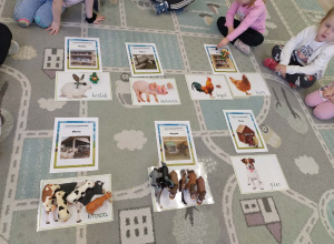 Zwierzęta gospodarskie i ich domy