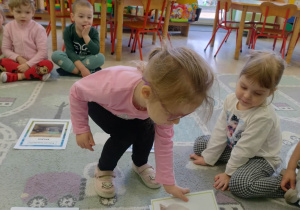 zwierzęta wiejskie i ich domy