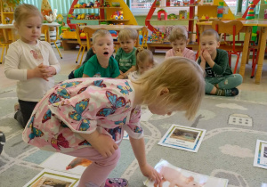 zwierzęta wiejskie i ich domy