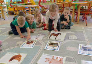 zwierzęta wiejskie i ich domy