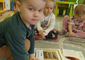 zwierzęta wiejskie i ich domy