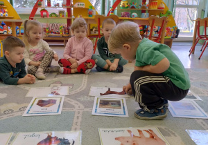 zwierzęta wiejskie i ich domy