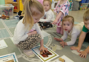 zwierzęta wiejskie i ich domy