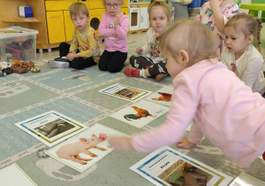 zwierzęta wiejskie i ich domy