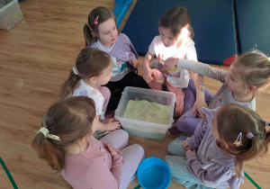 Ćwiczenia z wykorzystaniem zmysłu dotyku - szukanie drobnych elementów w materiale sypkim