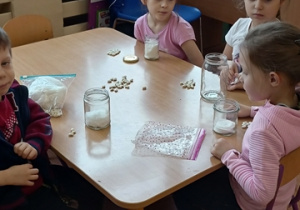 Wysiew nasion do słoików