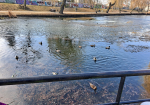 Spacer do Parku Traugutta