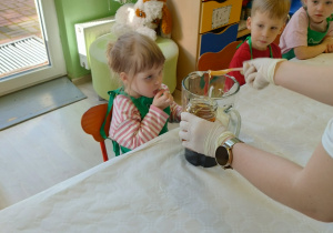 Dokładanie składników