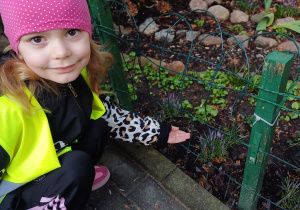 Dziewczynka wskazuje ręką na krokusy