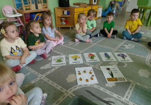 Zapoznanie z etapami siania roślin