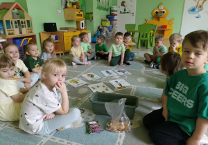 Zapoznanie z etapami siania roślin