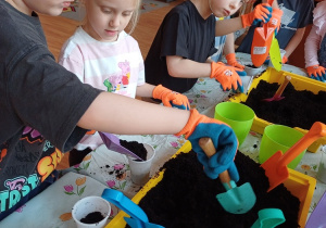 Dzieci podczas zajęć ogrodniczych