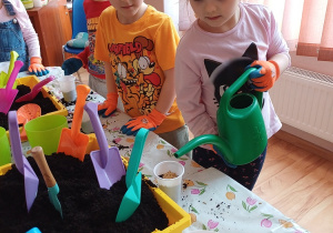 Dzieci podczas zajęć ogrodniczych podlewają zasiane rośliny, ucząc się systematyczności