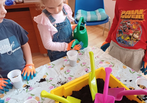 Dzieci podczas zajęć ogrodniczych podlewają zasiane rośliny, ucząc się systematyczności