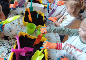 Dzieci podczas zajęć ogrodniczych