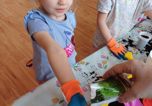 Dzieci podczas zajęć ogrodniczych wysiewają nasionka