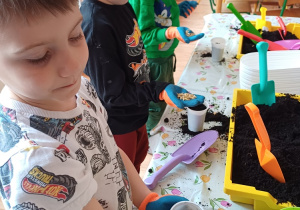 Dzieci podczas zajęć ogrodniczych wysiewają nasionka