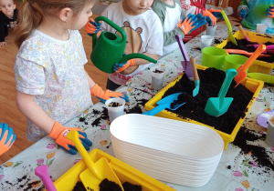 Dzieci podczas zajęć ogrodniczych