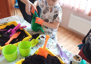 Dzieci podczas zajęć ogrodniczych podlewają zasiane rośliny, ucząc się systematyczności