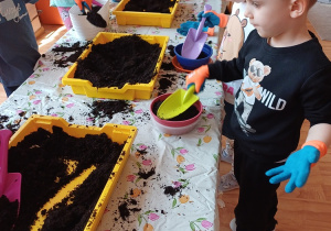 Dzieci podczas zajęć ogrodniczych