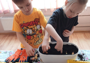 Dzieci podczas zajęć ogrodniczych sadzą cebulki, poznając etapy wzrostu roślin