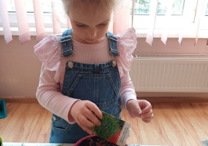 Dzieci podczas zajęć ogrodniczych wysiewają nasionka