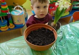 Chłopiec wsadza kwiatka do doniczki