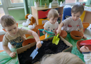 Dzieci wsypują ziemie do doniczek