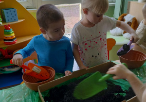 Dzieci wsypują ziemie do doniczek