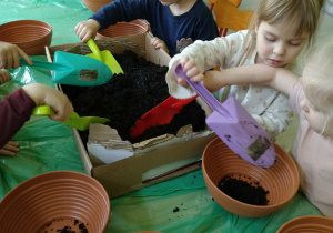 Dzieci wsypują ziemie do doniczek