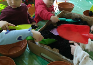 Dzieci wsypują ziemie do doniczek