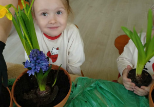 Dziewczynka sadzi żonkile