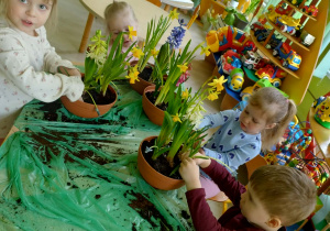 Dzieci sadzą kwiatki wiosenne