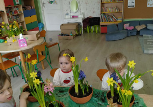 Dzieci sadzą kwiatki wiosenne