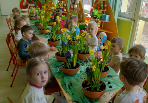 Dzieci sadzą kwiatki wiosenne