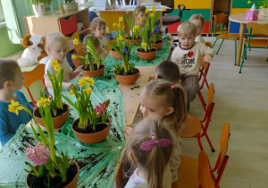 Dzieci sadzą kwiatki wiosenne