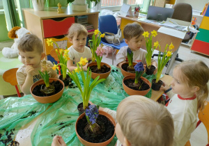 Dzieci sadzą kwiatki wiosenne