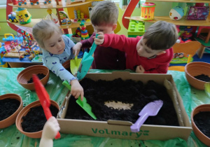 Dzieci wsypują ziemie do doniczek