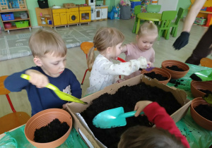 Dzieci wsypują ziemie do doniczek