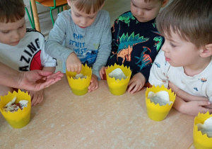 Chłopcy sieją rzeżuchę